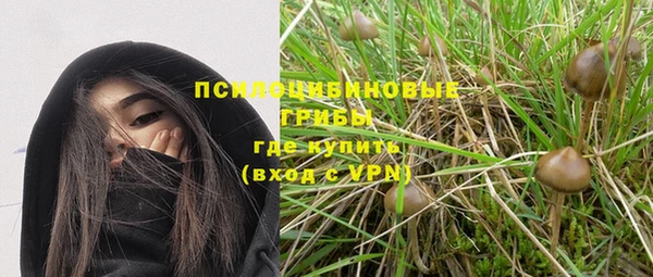 дурь Алексеевка