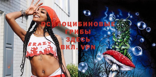 прущая мука Алзамай